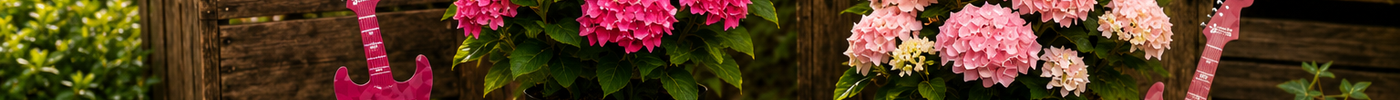 Music Collection® Hortensia’s – dat klinkt als muziek in de oren