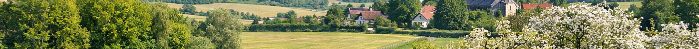 Landschapselementen in Limburg met subsidie – houtwal en hoogstambomen in heuvellandschap