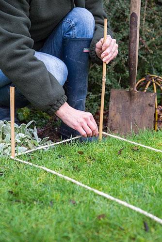 Stappenplan voor het succesvol aanplanten van jouw haag!