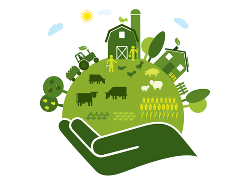 Subsidies voor het Aanplanten van Diervriendelijke Hagen in de Landbouw: Hoe je kunt profiteren van financiële steun voor duurzame natuurmaatregelen