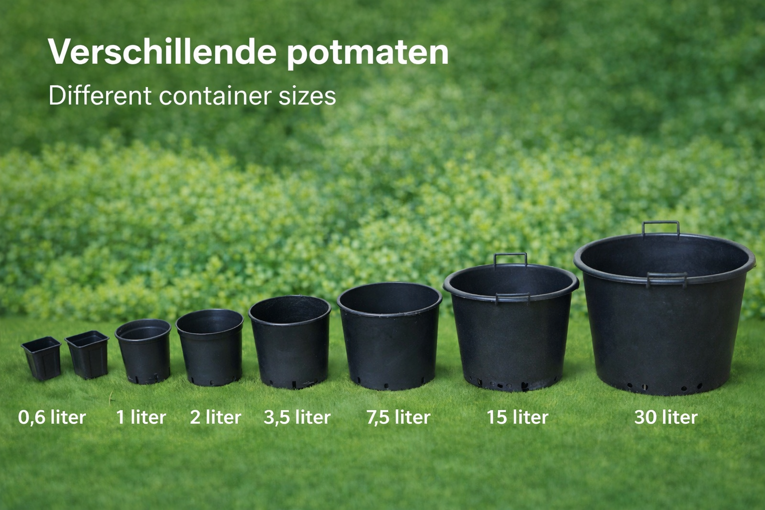 Overzicht van verschillende potmaten tuinplanten van p9 pot liter 30 liter in zwarte kweekpotten op groene achtergrond