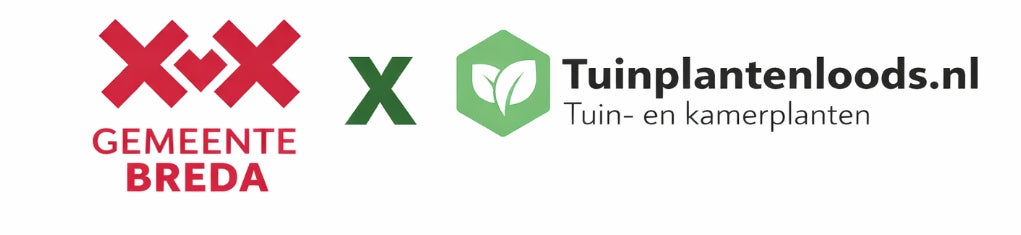 Subsidie Breda voor bedrijven: Tegels eruit, planten erin (€10 per m²)