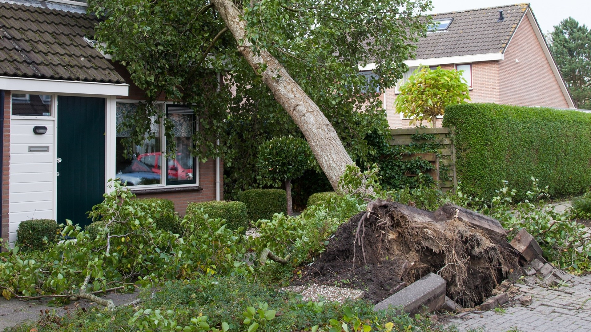 Storm op komst? Zo maak je jouw tuin stormproof!