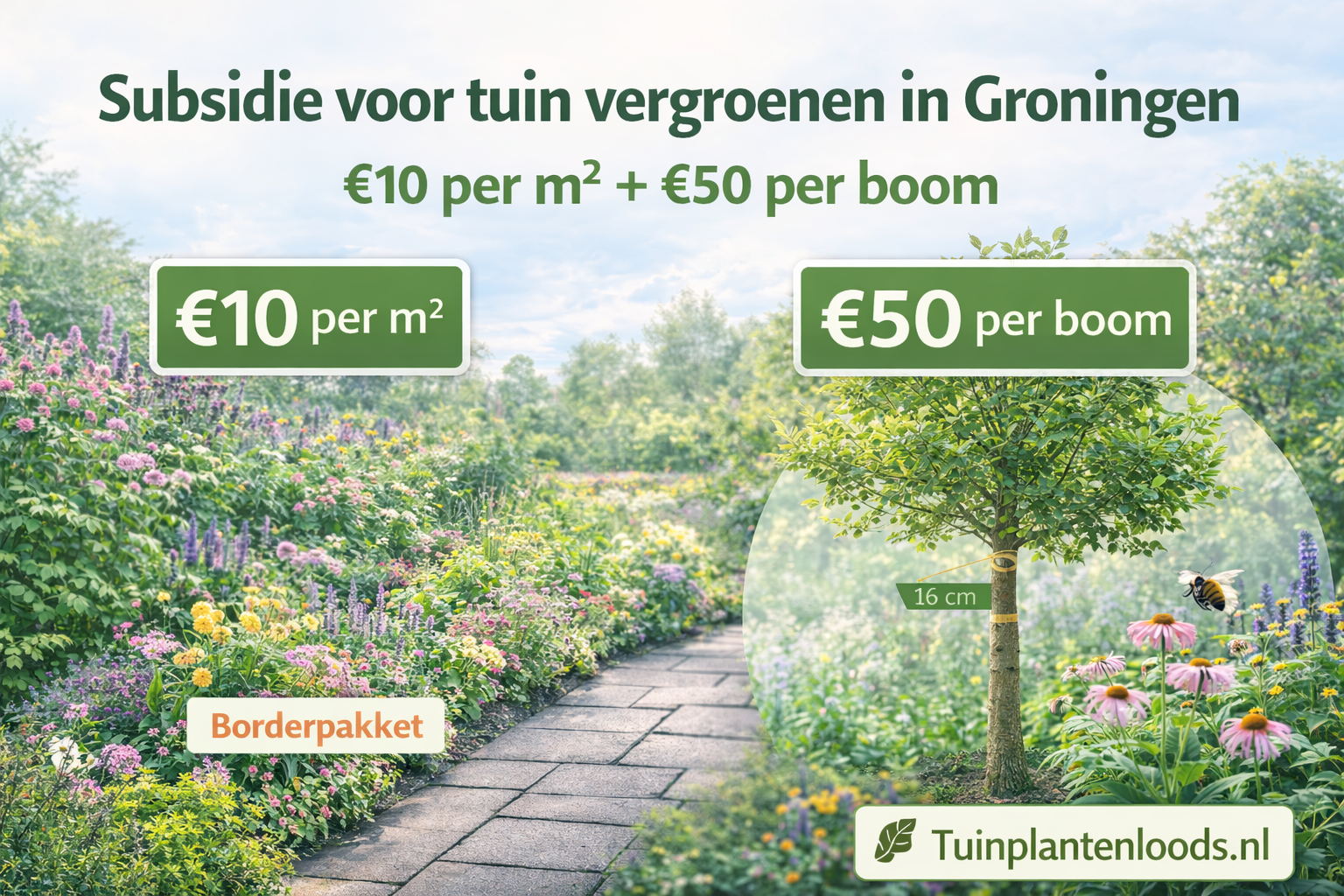Subsidie Klimaat Groningen in 2026: vergoeding per m² en per boom