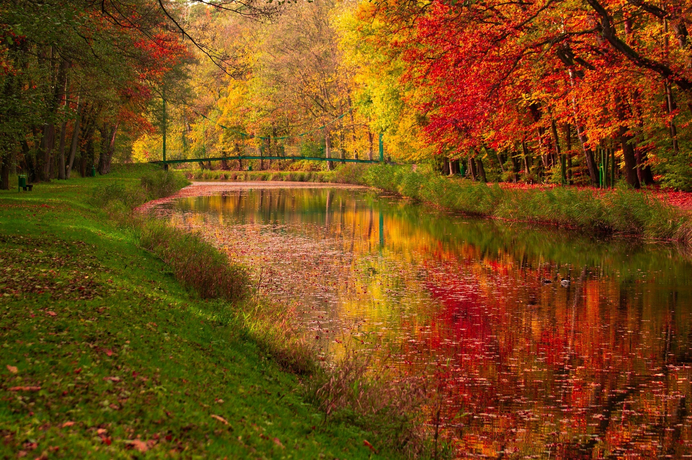 Bereid je tuin voor op de herfst - met kleur, rust én slimme voorbereiding