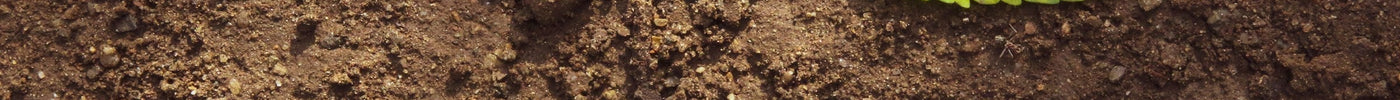 De waarheid over tuinaarde: waarom je planten er vaak niet in slagen(!)
