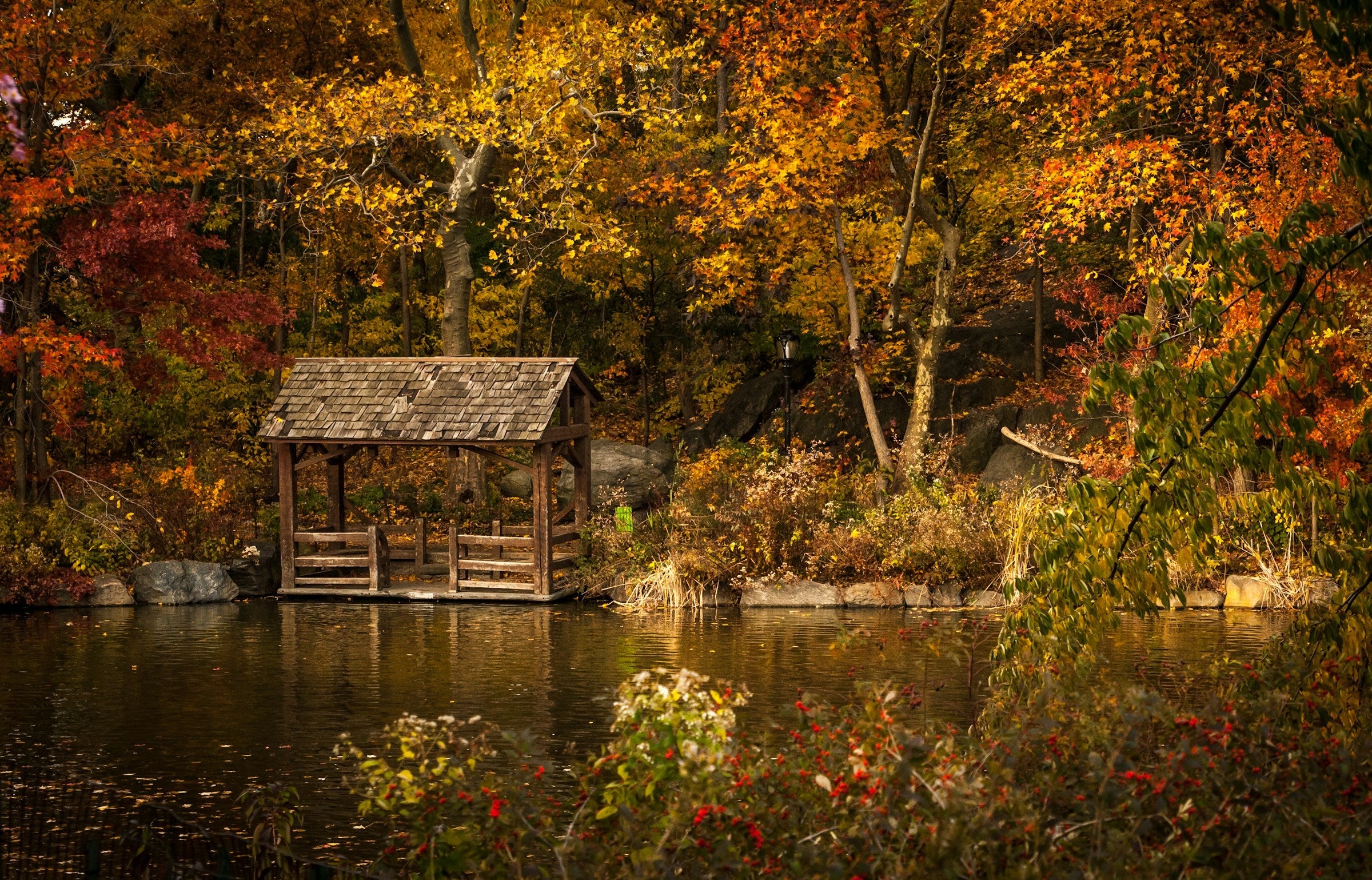 Tuinieren in september