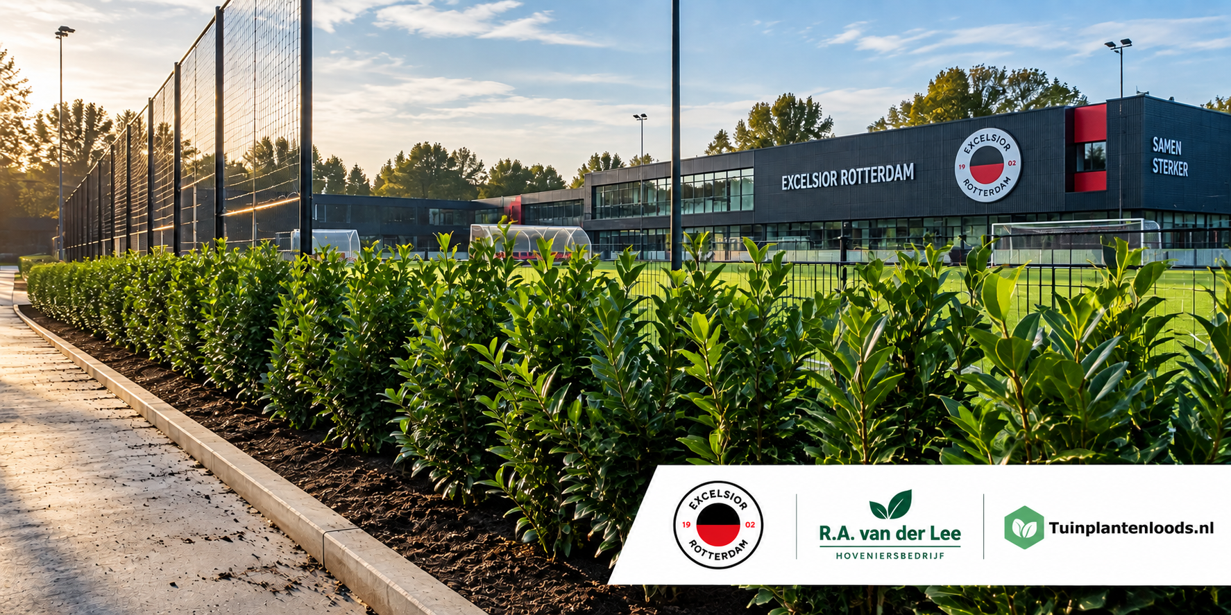 Projectbeplanting voor de nieuwe trainingsaccommodatie van Excelsior Rotterdam met Hoveniersbedrijf R.A. van der Lee en Tuinplantenloods