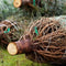 Gezaagde Fijnspar kerstbomen verpakt in net – Picea abies