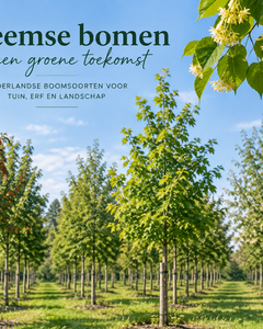 Inheemse bomen voor tuin, erf en biodiversiteit in Nederland