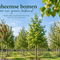 Inheemse bomen voor tuin, erf en biodiversiteit in Nederland