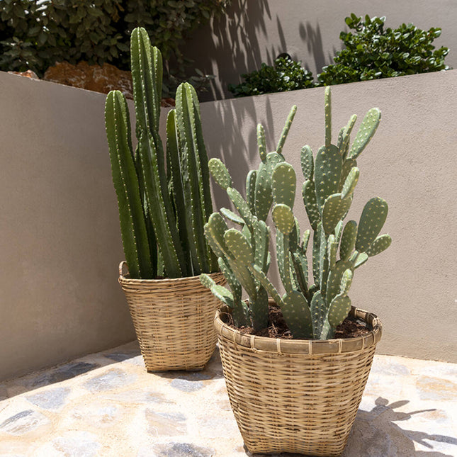 Pottery Pots Plantenbak – Enrico M – Bamboo Ø40 x H32,5 cm