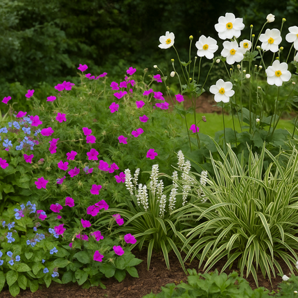 Borderpakket  – Jaarrond kleur & bloei – Frisse tinten & zachte uitstraling - 5m² - 50 planten