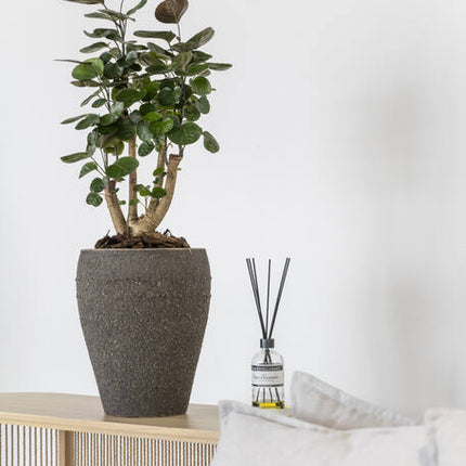 Pottery Pots - Ares - M - Umber Brown