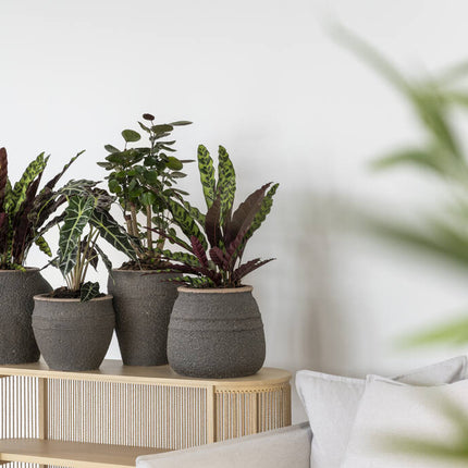 Pottery Pots - Ares - M - Umber Brown