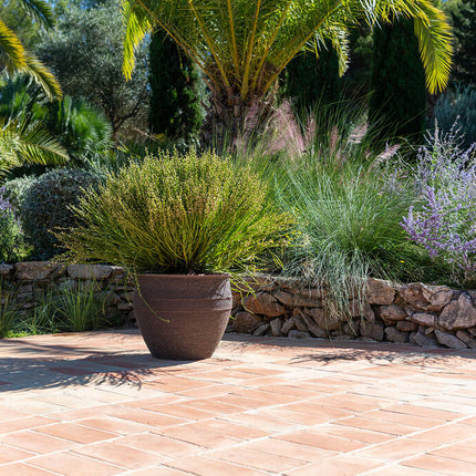 Pottery Pots - Athena - L - Umber Brown