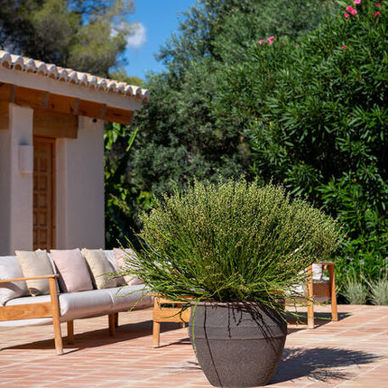 Pottery Pots - Athena - M - Umber Brown