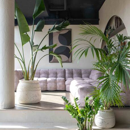 Pottery Pots - Athena - S - Chalk White