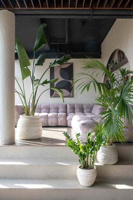 Pottery Pots - Athena - S - Chalk White