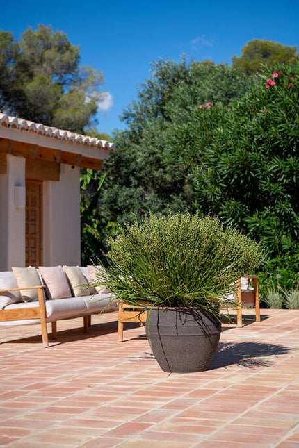 Pottery Pots - Athena - S - Umber Brown