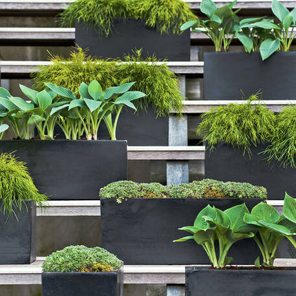 Pottery Pots - Balcony - XL - Black