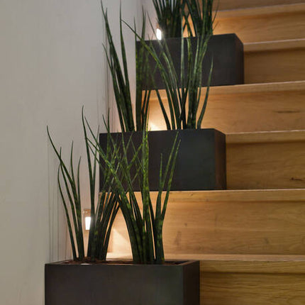 Pottery Pots - Balcony - XL - Black