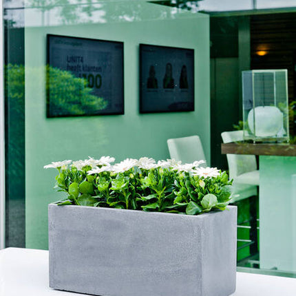 Pottery Pots - Balcony - XL - Grey