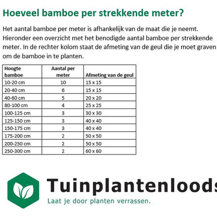 Foto van indicatie hoeveel bamboe per strekkende meter  