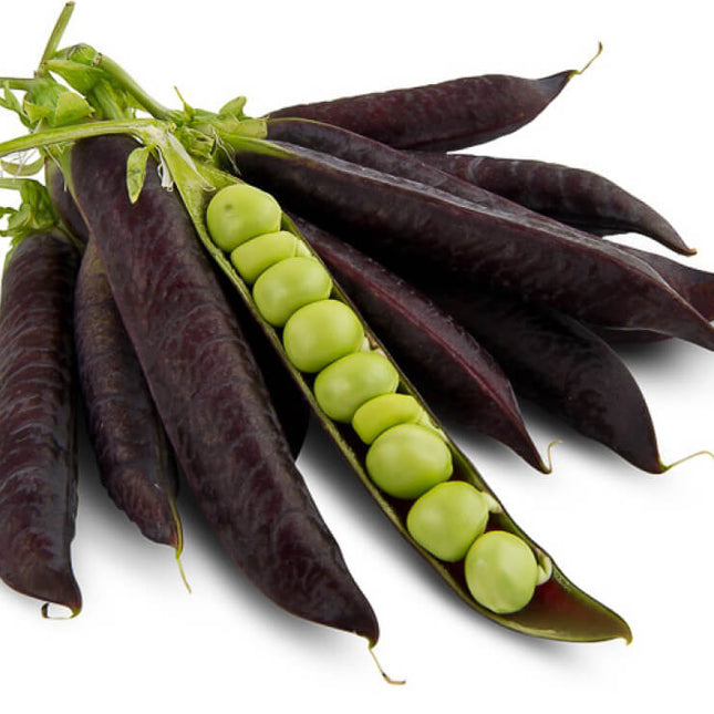 Blauwschokkers bonen - Kapucijners