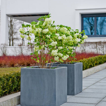 Pottery Pots - Block - M - Grey