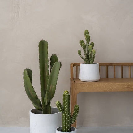 Cactus Cereus - Kunstplant - M