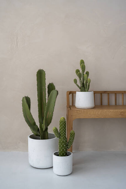 Cactus Cereus - Kunstplant - M