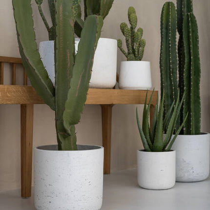 Cactus Cereus - Kunstplant - M