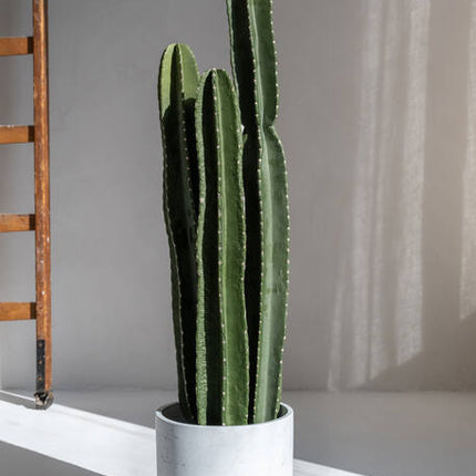 Cactus San Pedro - Kunstplant - XL