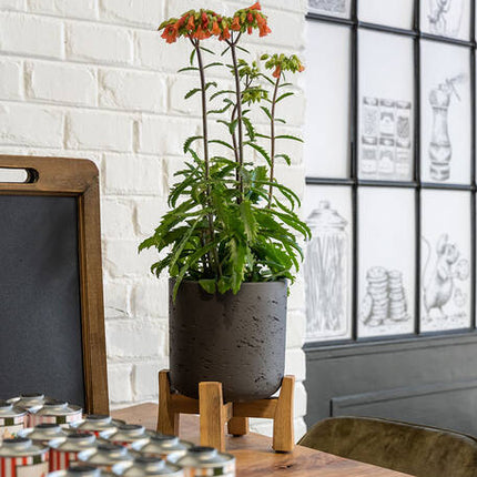 Pottery Pots - Charlie (Feet Low) - M - Black Washed