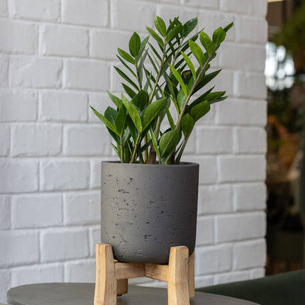 Pottery Pots - Charlie (Feet Low) - L - Black Washed