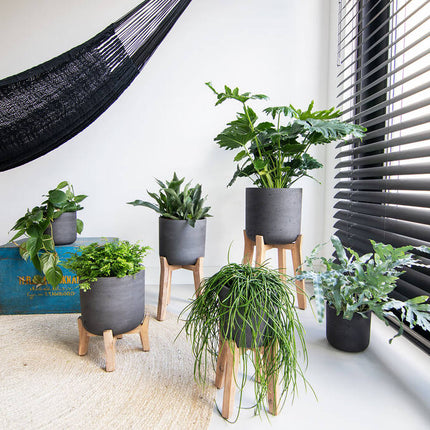 Pottery Pots - Charlie (Feet Hight) - M - Black Washed