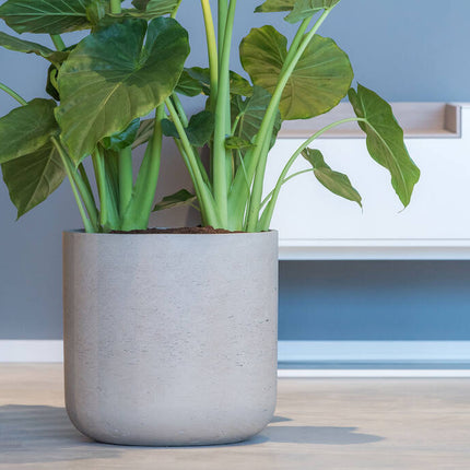 Pottery Pots - Charlie - XXL - Grey Washed