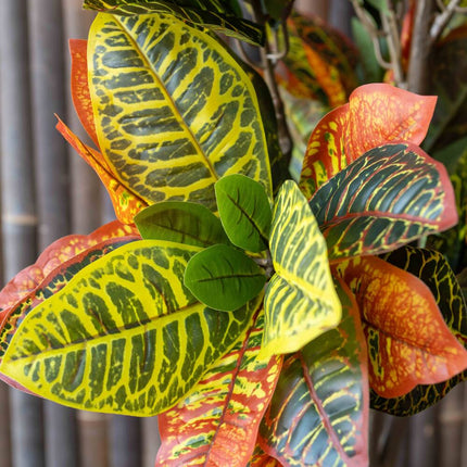 Codiaeum - Kunstplant - S