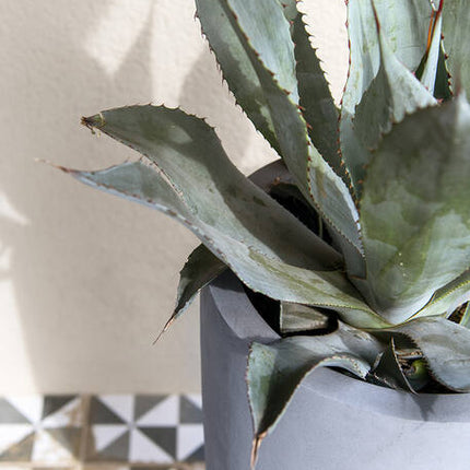 Pottery Pots - Dax - L - Grey