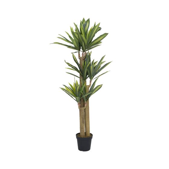 Dracena - Kunstplant - L