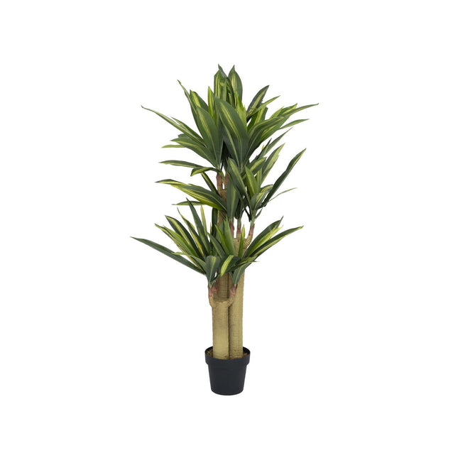 Dracena - Kunstplant - M