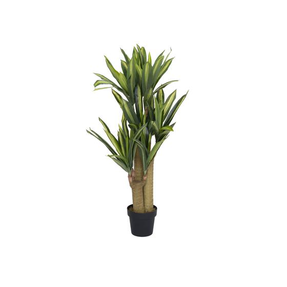 Dracena - Kunstplant - S