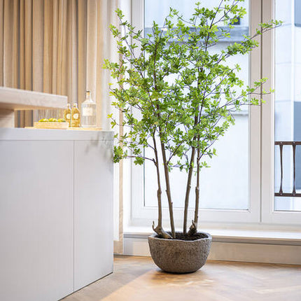 Enkianthus Perulatus - Kunstplant - M