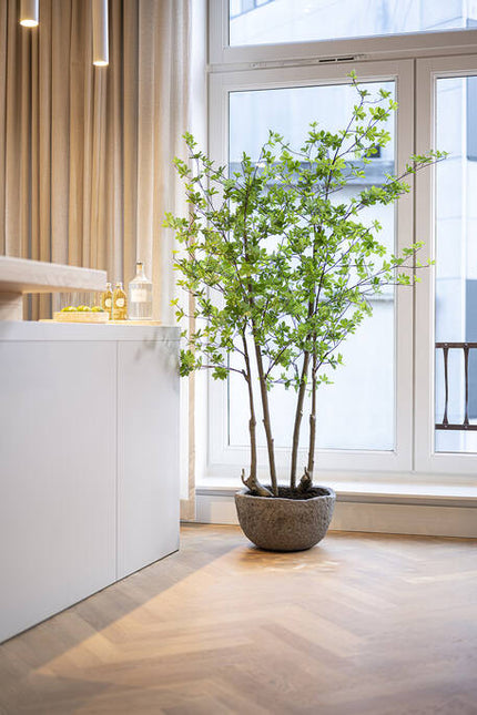 Enkianthus Perulatus - Kunstplant - M