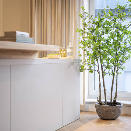 Enkianthus Perulatus - Kunstplant - M