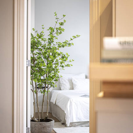 Enkianthus Perulatus - Kunstplant - M