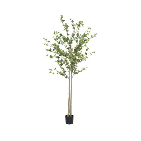 Enkianthus Perulatus - Kunstplant - XL