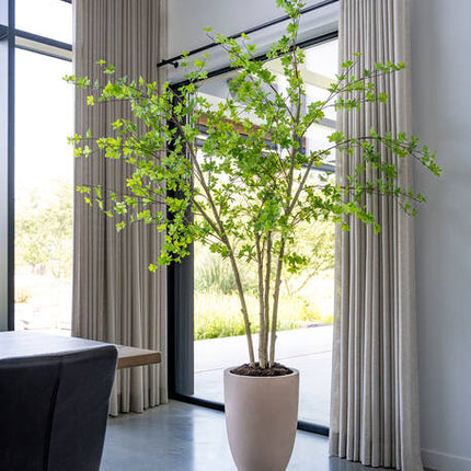 Enkianthus Perulatus - Kunstplant - XL