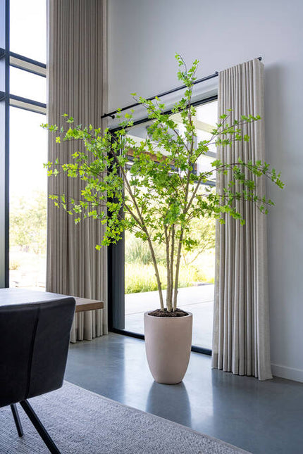 Enkianthus Perulatus - Kunstplant - XL